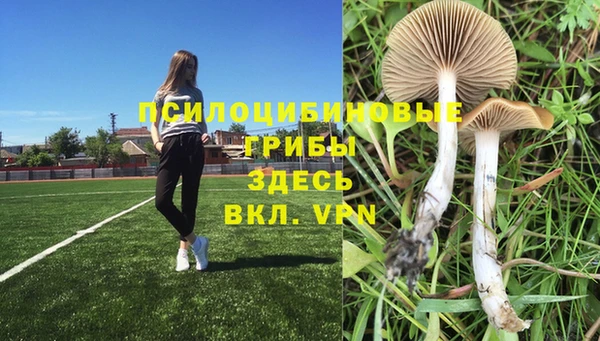 MESCALINE Абаза