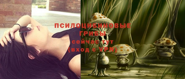 мяу мяу мука Абдулино