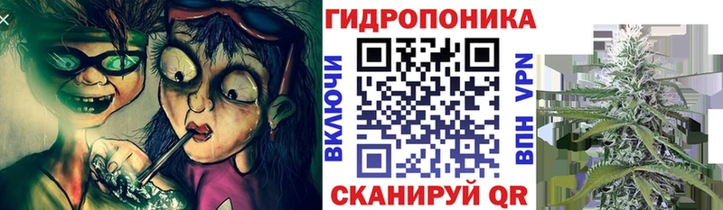 купить наркотик  Полтавская  гидра как войти  Бошки марихуана ГИДРОПОН 